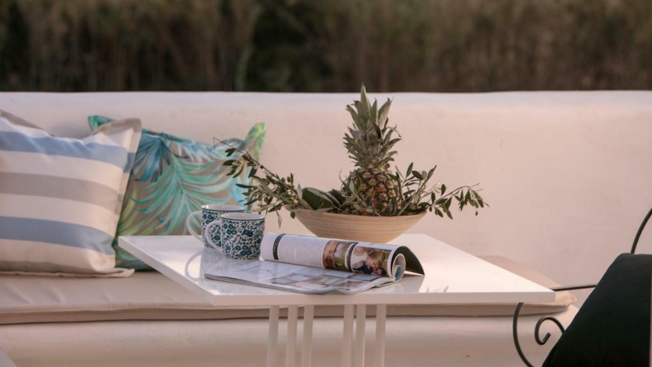 Villa Vaya Agia Anna  Exteriér fotografie